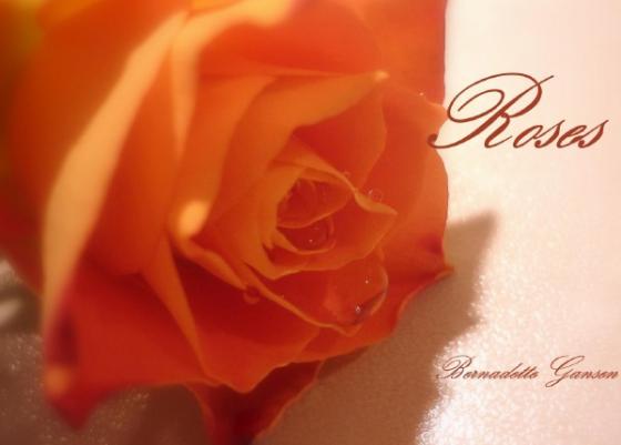Cover-Bild Fleurs / Roses