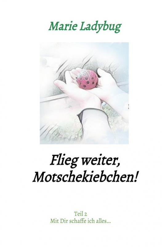 Cover-Bild Flieg weiter, Motschekiebchen!