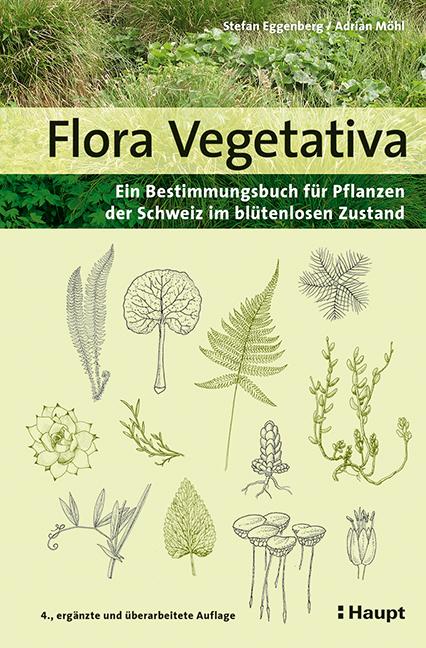 Cover-Bild Flora Vegetativa