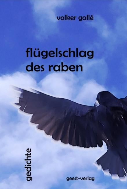 Cover-Bild flügelschlag des raben