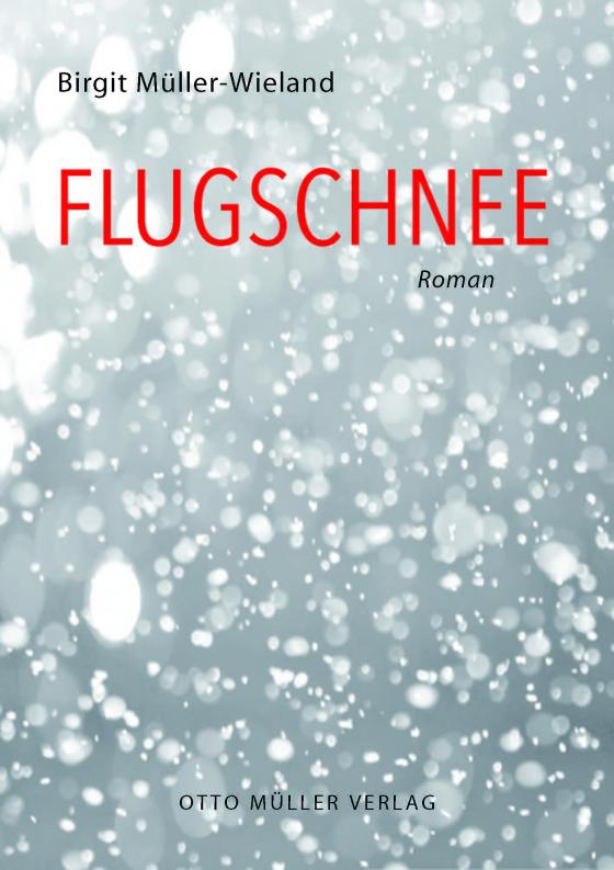 Cover-Bild Flugschnee