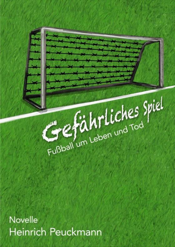 Cover-Bild Gefährliches Spiel