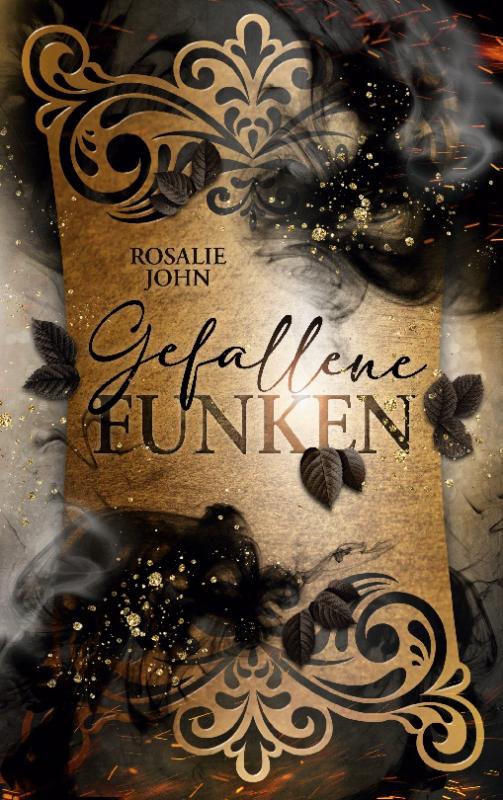 Cover-Bild Gefallene Funken