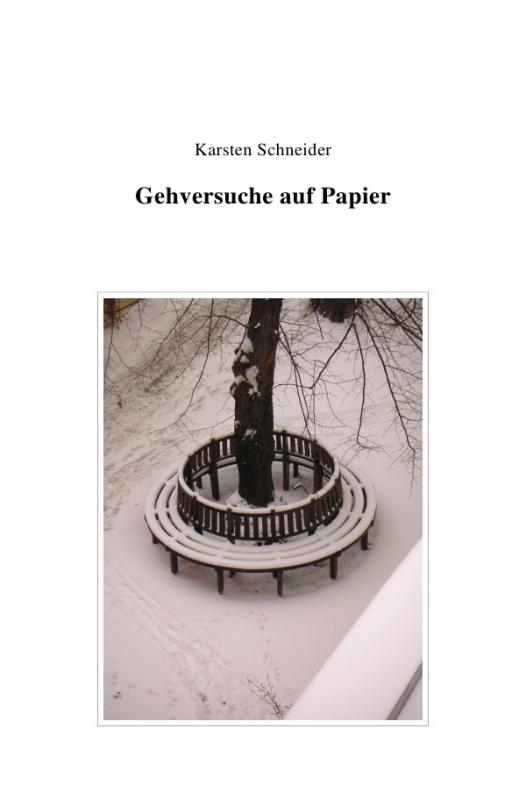 Cover-Bild Gehversuche auf Papier