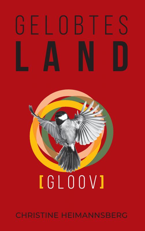 Cover-Bild Gelobtes Land