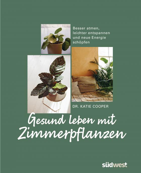Cover-Bild Gesund leben mit Zimmerpflanzen