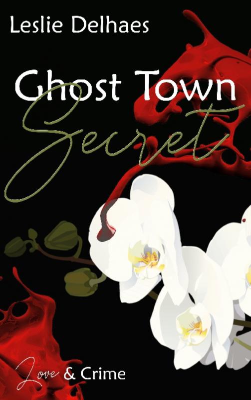 Cover-Bild Ghost Town Secret