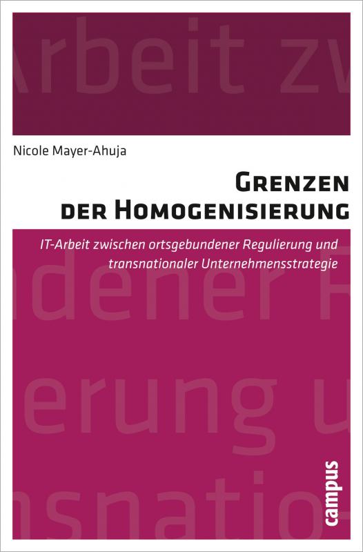 Cover-Bild Grenzen der Homogenisierung