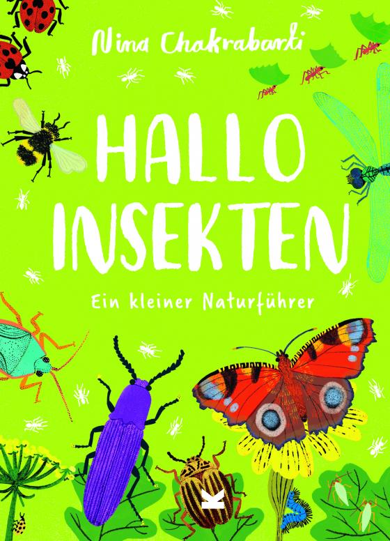 Cover-Bild Hallo Insekten