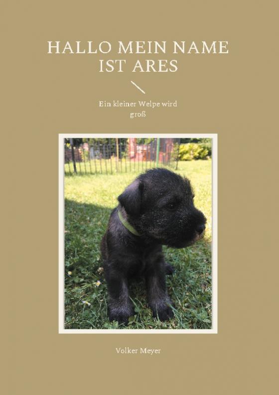 Cover-Bild Hallo mein Name ist Ares
