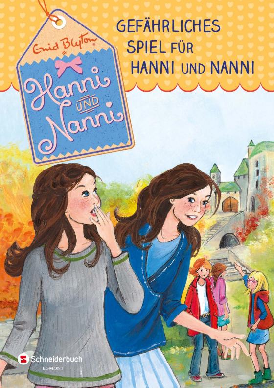 Cover-Bild Hanni und Nanni, Band 22