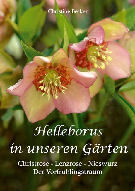 Cover-Bild Helleborus in unseren Gärten