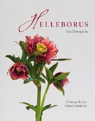 Cover-Bild Helleborus