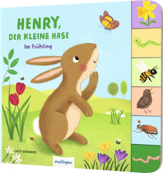 Cover-Bild Henry, der kleine Hase