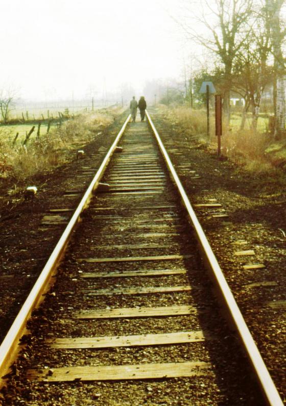 Cover-Bild Herr Schall und Herr Rauch