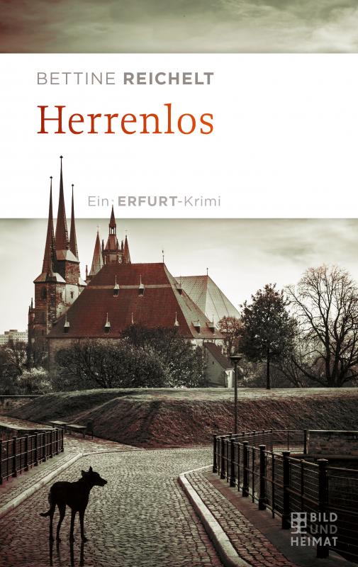Cover-Bild Herrenlos