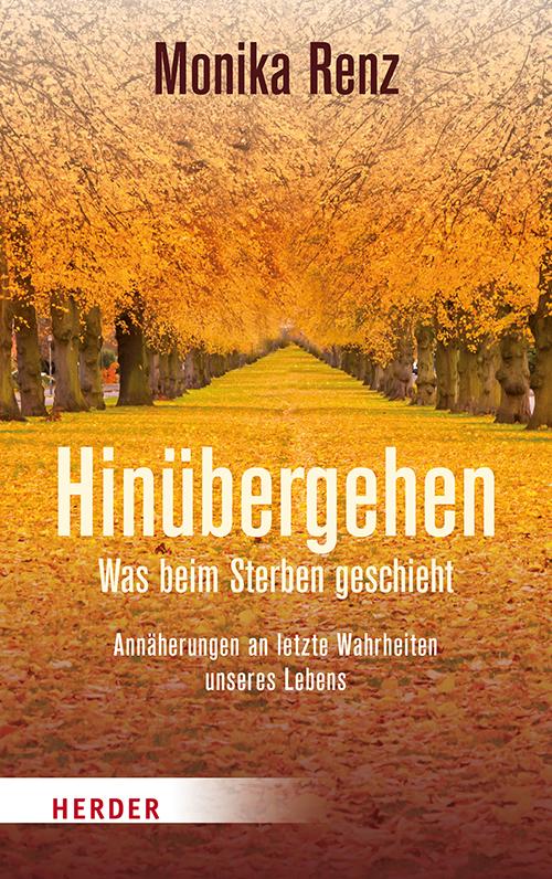 Cover-Bild Hinübergehen