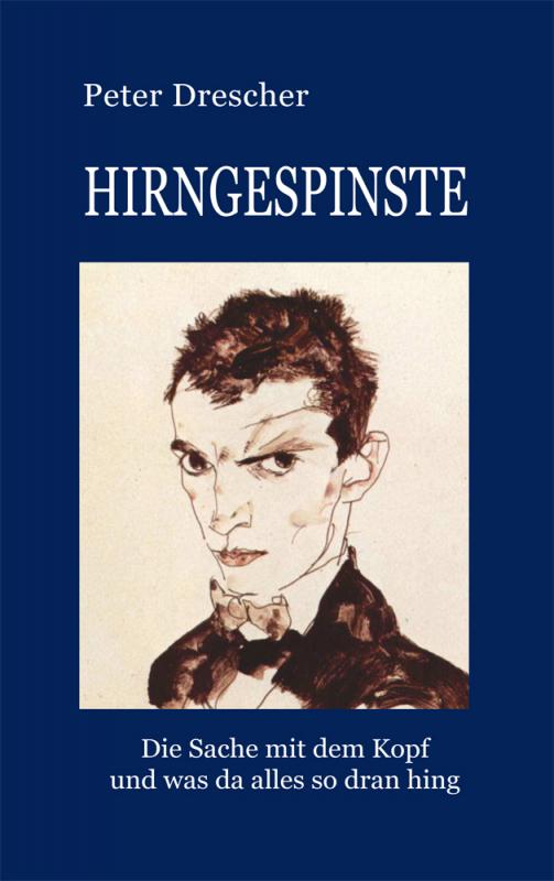 Cover-Bild Hirngespinste