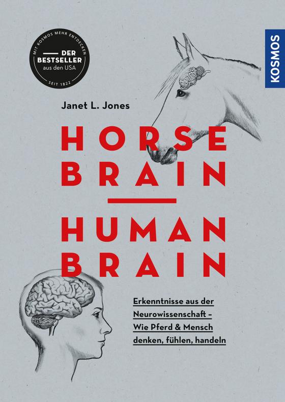 Cover-Bild Horse Brain, Human Brain