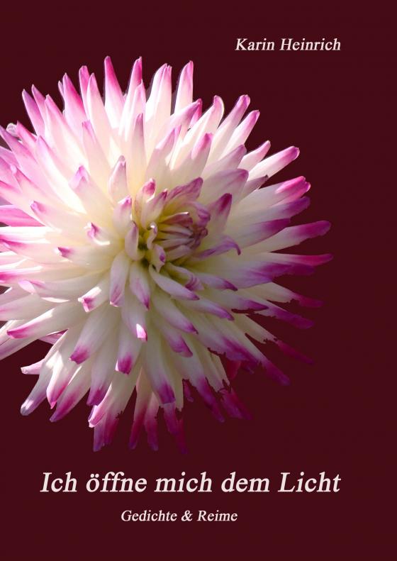 Cover-Bild Ich öffne mich dem Licht