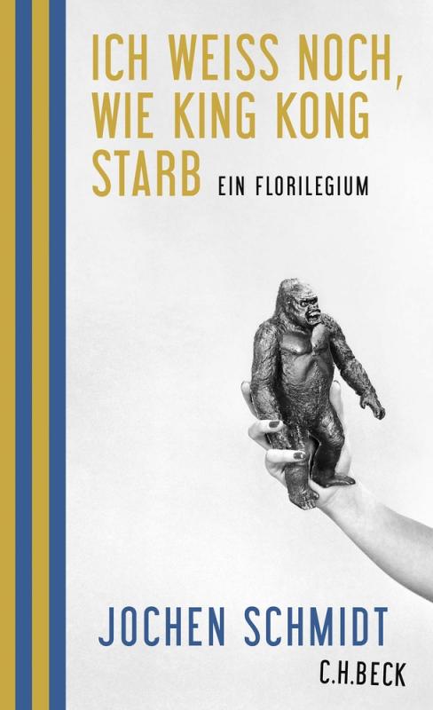 Cover-Bild Ich weiß noch, wie King Kong starb