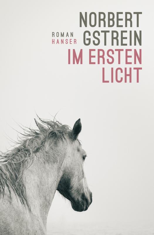 Cover-Bild Im ersten Licht