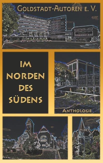 Cover-Bild Im Norden des Südens