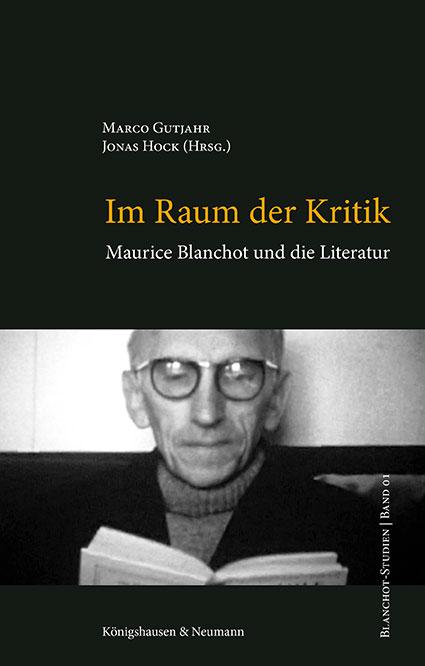 Cover-Bild Im Raum der Kritik