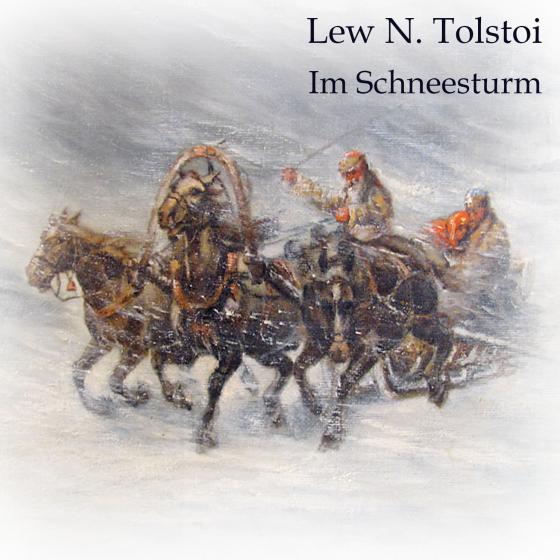 Cover-Bild Im Schneesturm