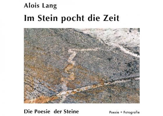 Cover-Bild Im Stein pocht die Zeit