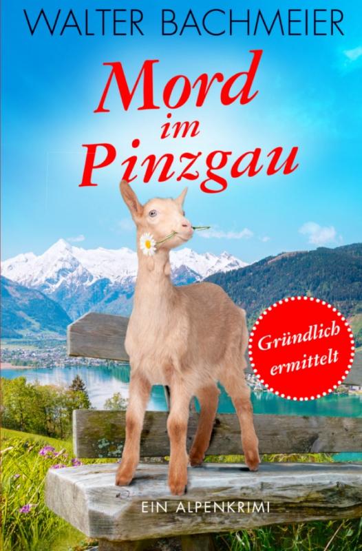 Cover-Bild Inspektor Tina Gründlich / Mord im Pinzgau