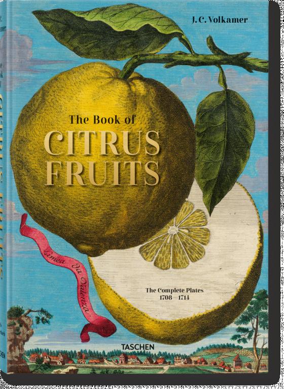 Cover-Bild J. C. Volkamer. The Book of Citrus Fruits