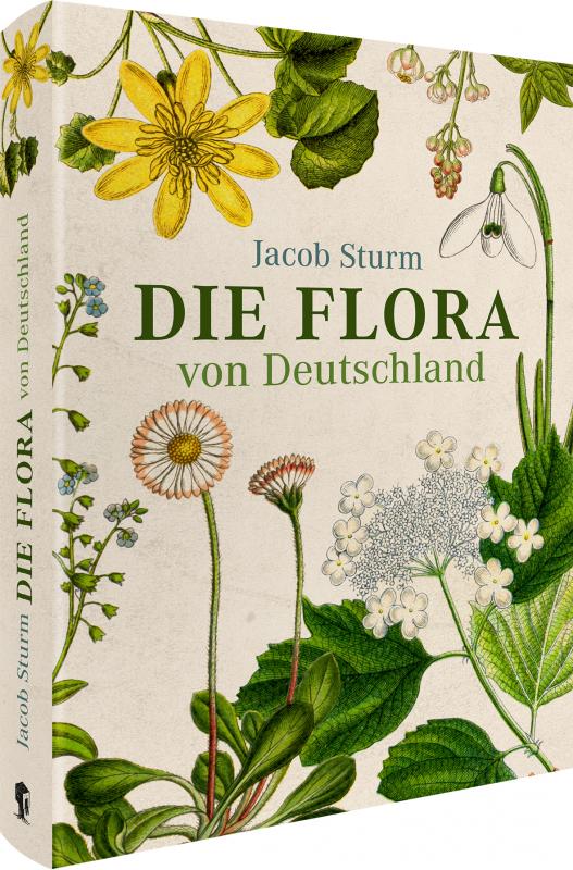 Cover-Bild Jacob Sturm – Die Flora von Deutschland