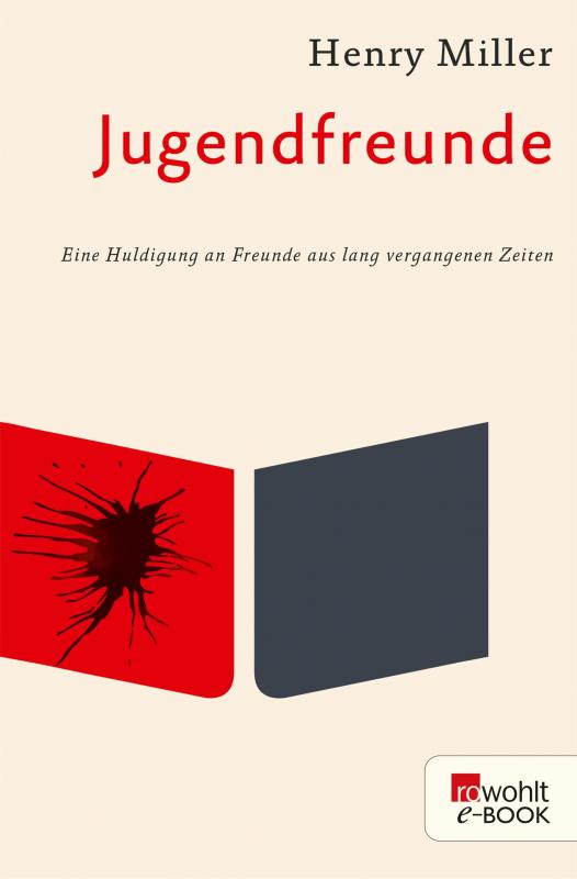 Cover-Bild Jugendfreunde