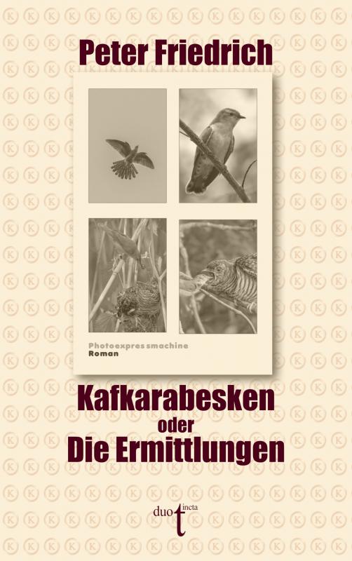 Cover-Bild Kafkarabesken oder Die Ermittlungen