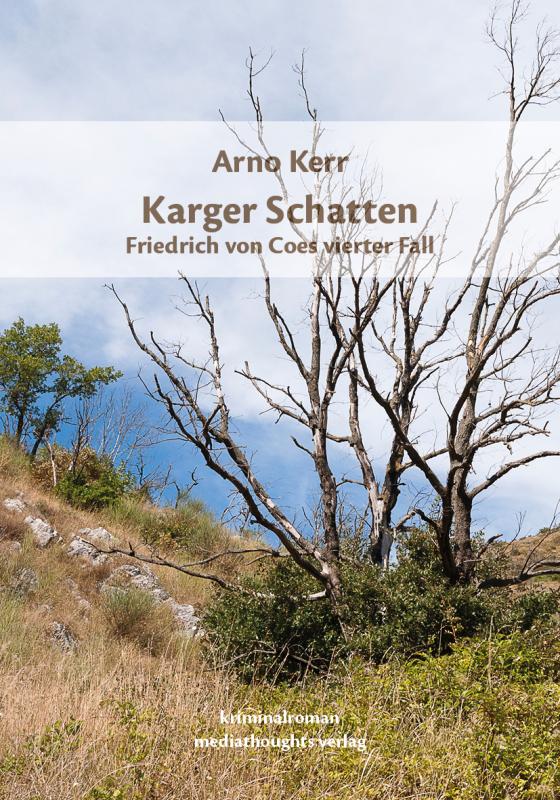Cover-Bild Karger Schatten