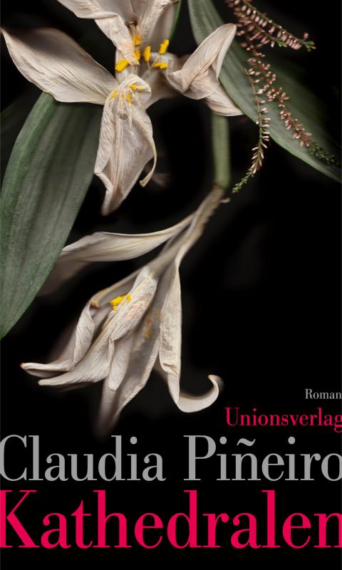 Cover-Bild Kathedralen