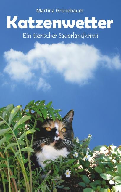 Cover-Bild Katzenwetter