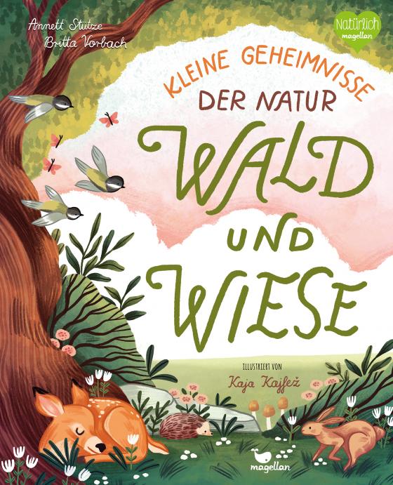 Cover-Bild Kleine Geheimnisse der Natur - Wald und Wiese