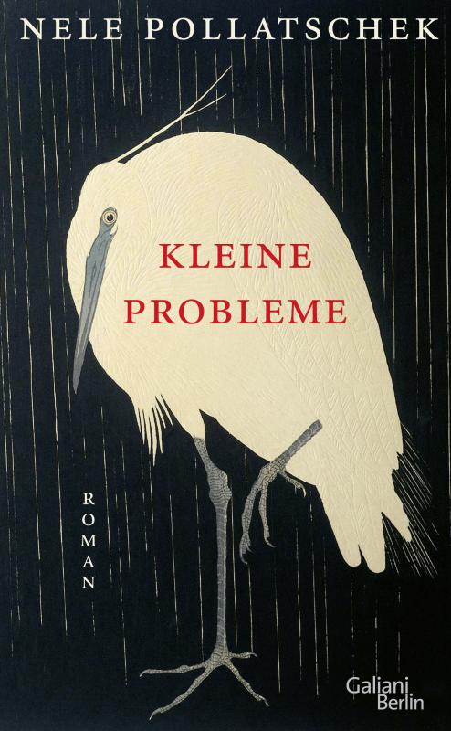 Cover-Bild Kleine Probleme