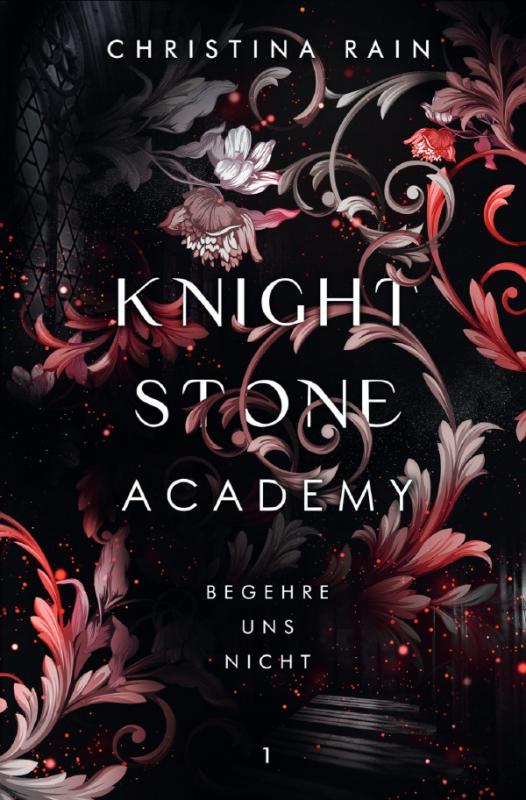 Cover-Bild Knightstone Academy / Knightstone Academy 1