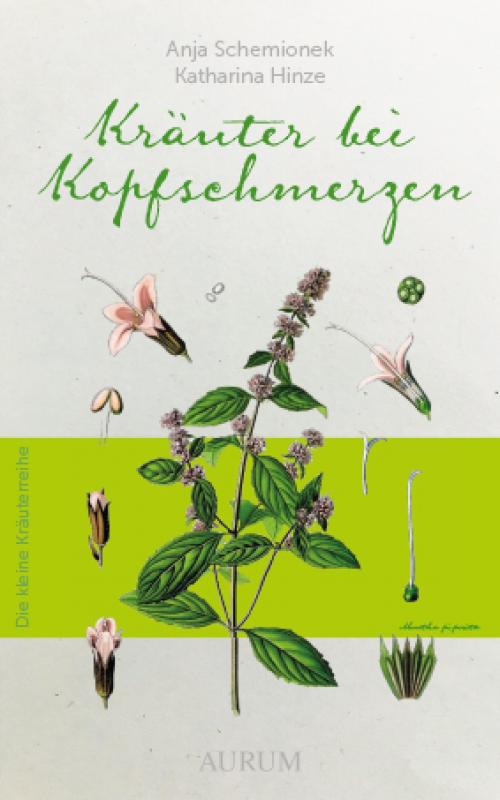 Cover-Bild Kräuter bei Kofpschmerzen