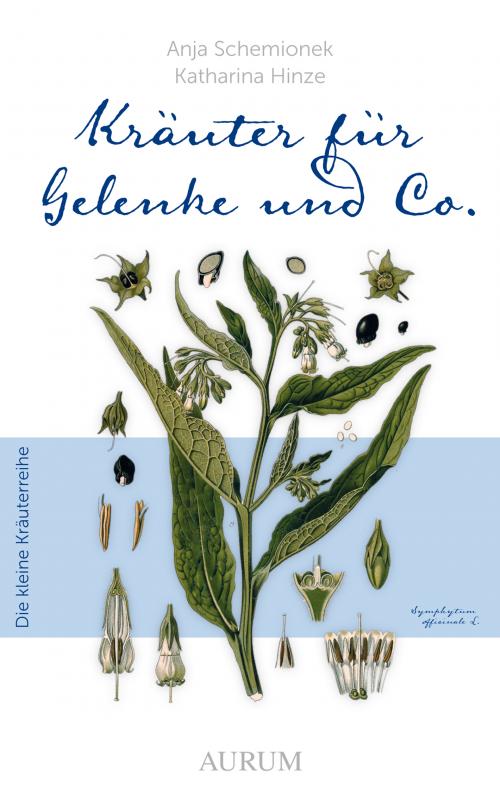 Cover-Bild Kräuter für Gelenke und Co.
