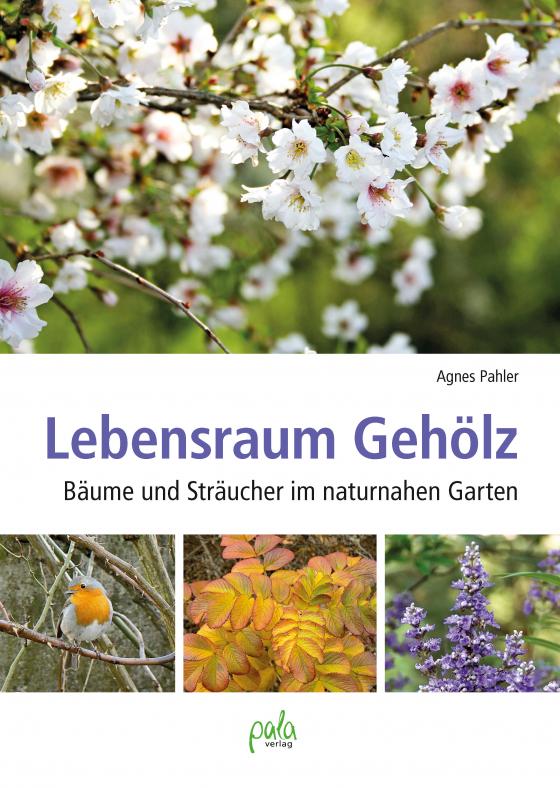 Cover-Bild Lebensraum Gehölz