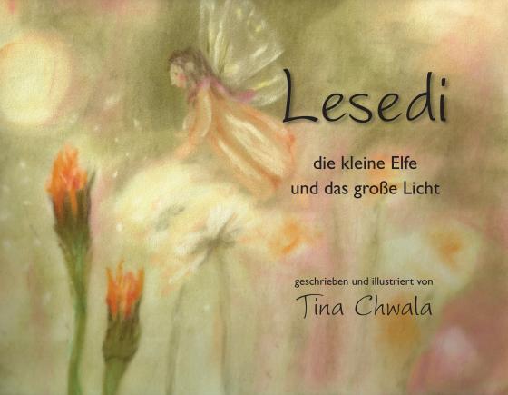 Cover-Bild Lesedi, die kleine Elfe und das grosse Licht