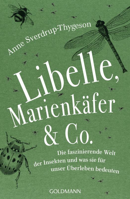 Cover-Bild Libelle, Marienkäfer & Co.
