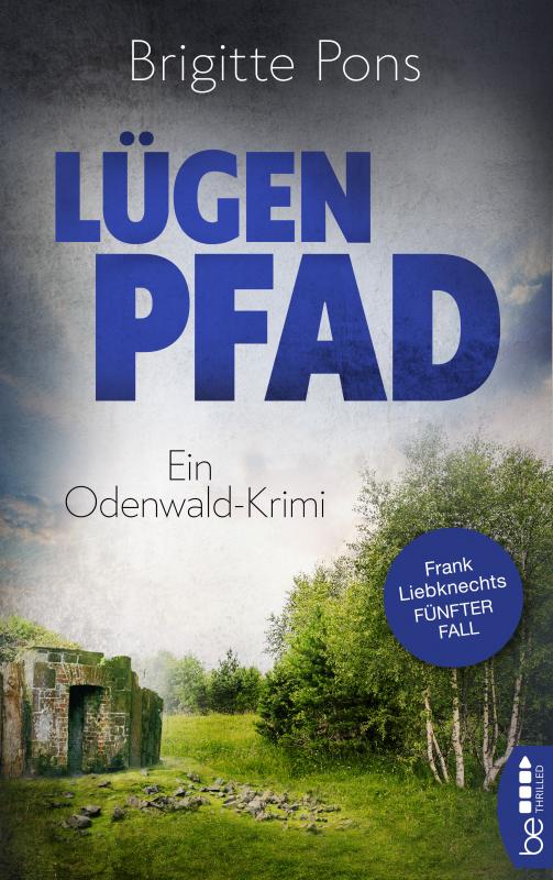 Cover-Bild Lügenpfad