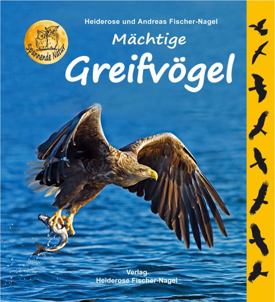 Cover-Bild Mächtige Greifvögel