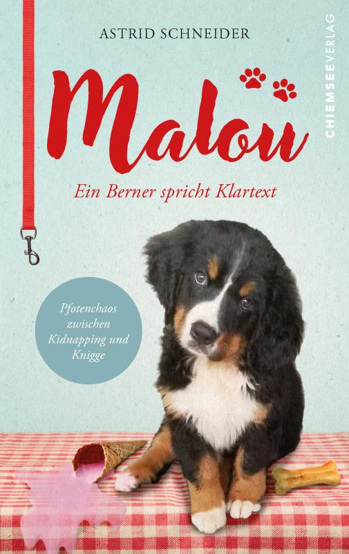 Cover-Bild Malou - ein Berner spricht Klartext