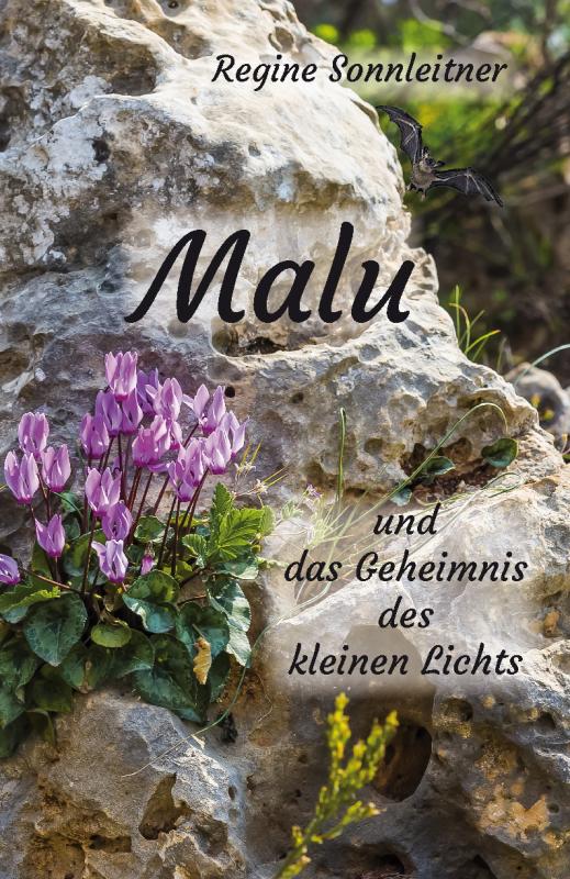 Cover-Bild Malu und das Geheimnis des kleinen Lichts